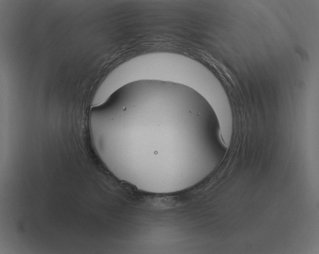 X0000116450517200912291950