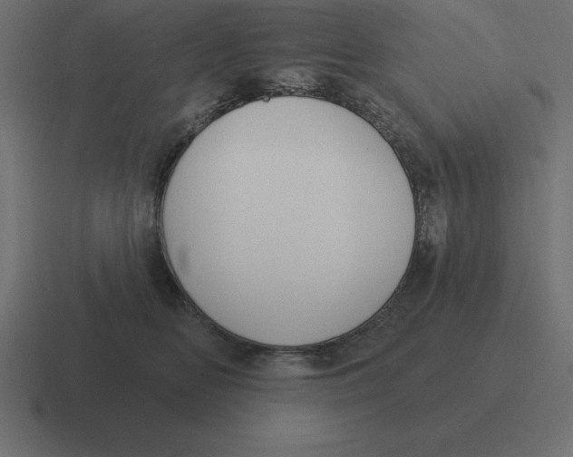 X0000116450518200912291950