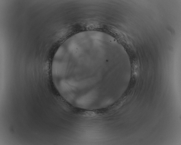 X0000116450519200912291950