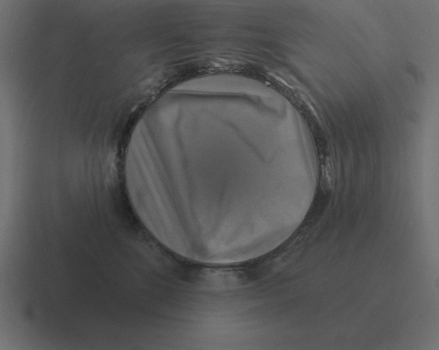 X0000116450520200912291950