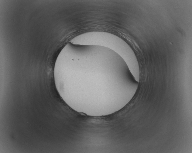 X0000116450521200912291950
