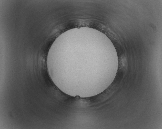 X0000116450522200912291950