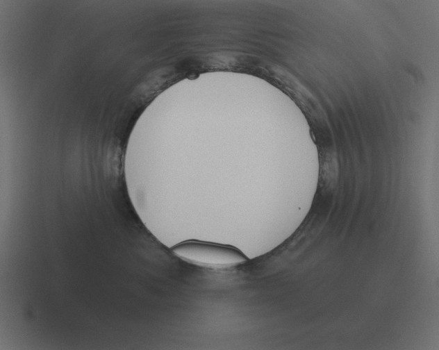 X0000116450525200912291950