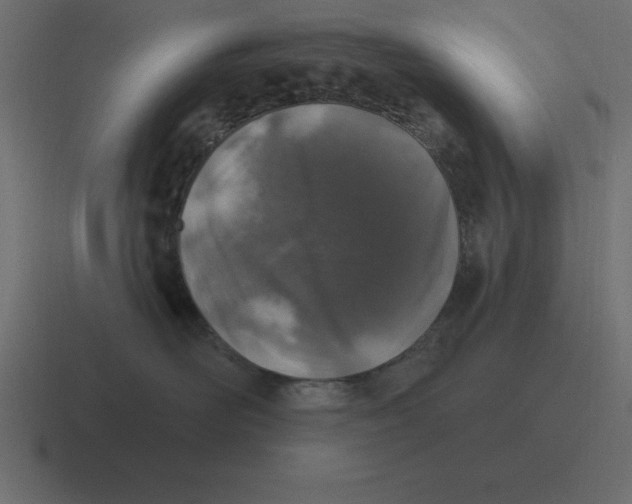 X0000116450526200912291950