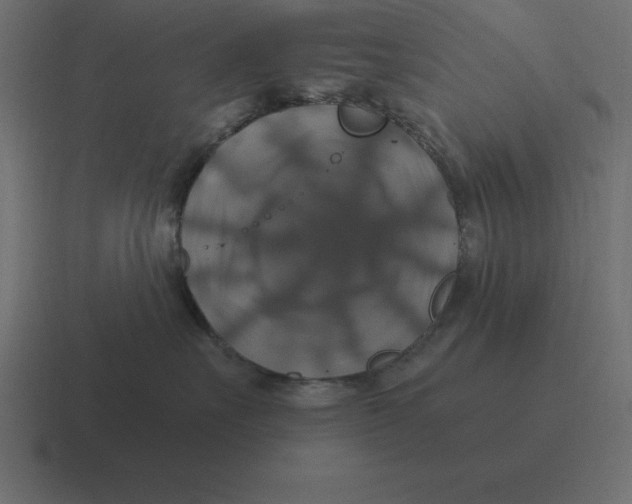 X0000116450527200912291950