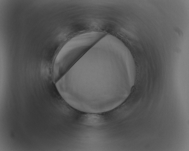 X0000116450528200912291950