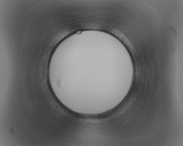 X0000116450529200912291949