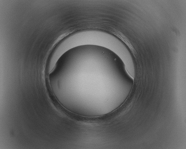 X0000116450530200912291949