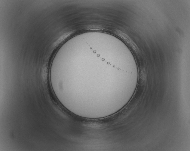X0000116450533200912291949