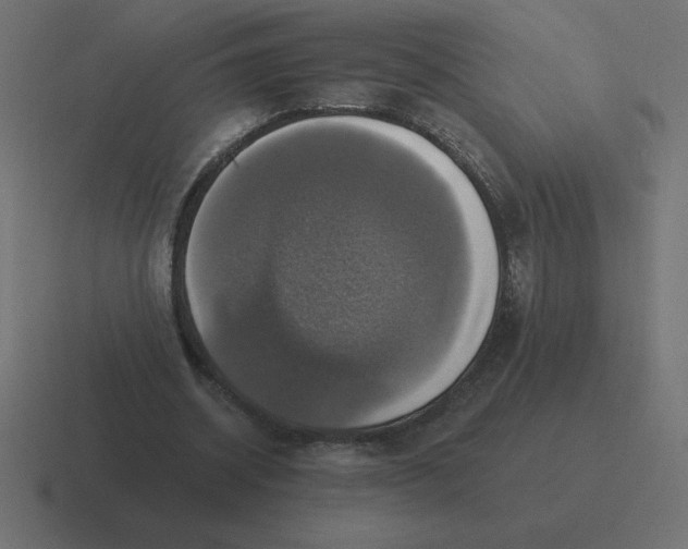 X0000116450534200912291949