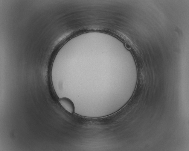 X0000116450535200912291949