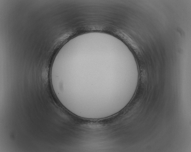 X0000116450537200912291949