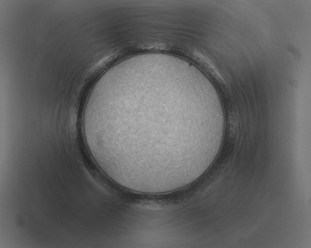 X0000116450538200912291949