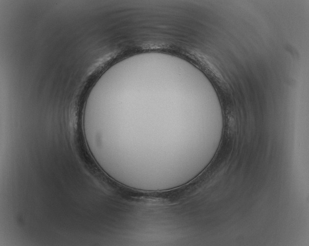 X0000116450539200912291949