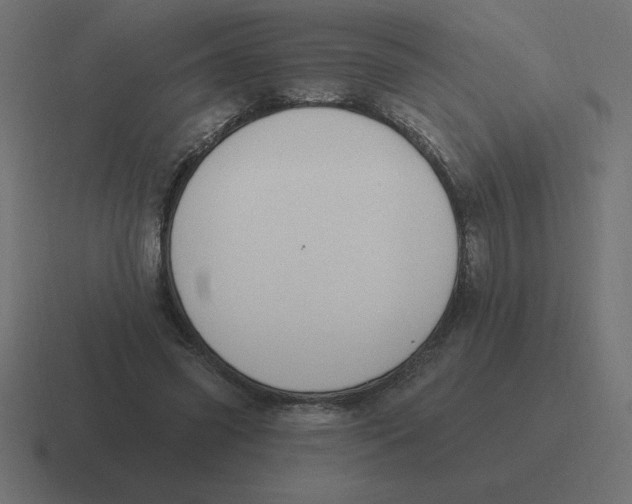 X0000116450541200912291949