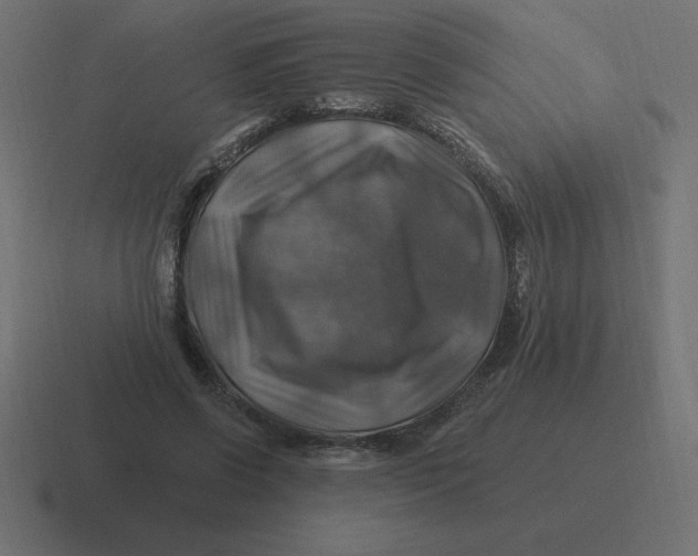 X0000116450542200912291949