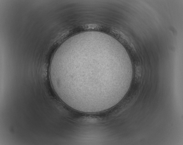 X0000116450545200912291949
