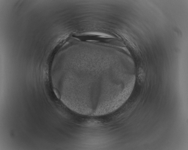 X0000116450547200912291949