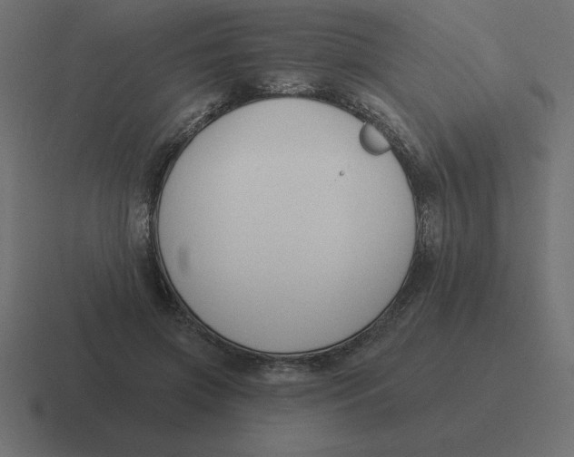 X0000116450549200912291949