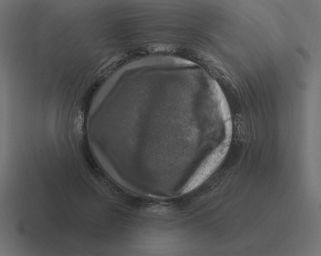 X0000116450550200912291949