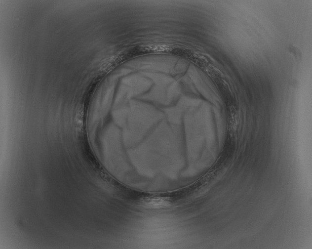 X0000116450553200912291949