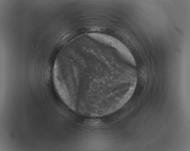 X0000116450554200912291949