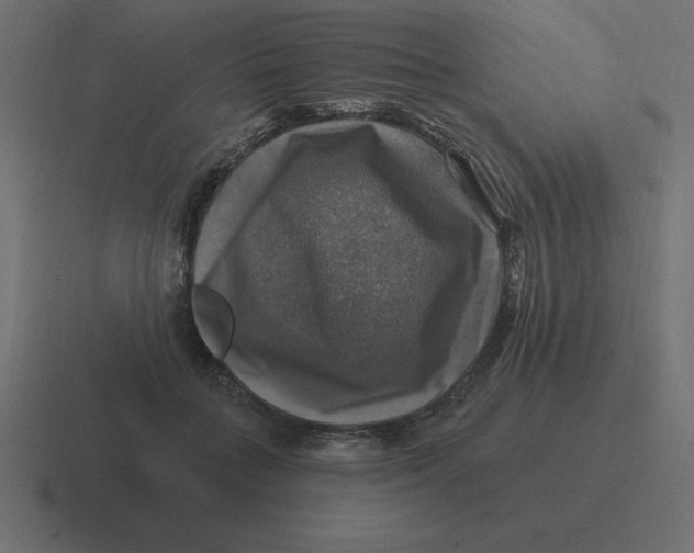 X0000116450555200912291949