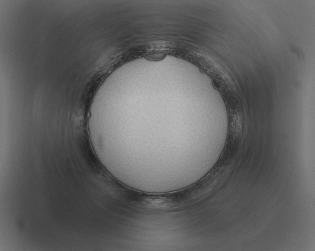 X0000116450557200912291949