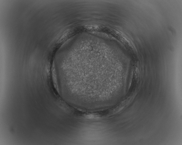 X0000116450561200912291949