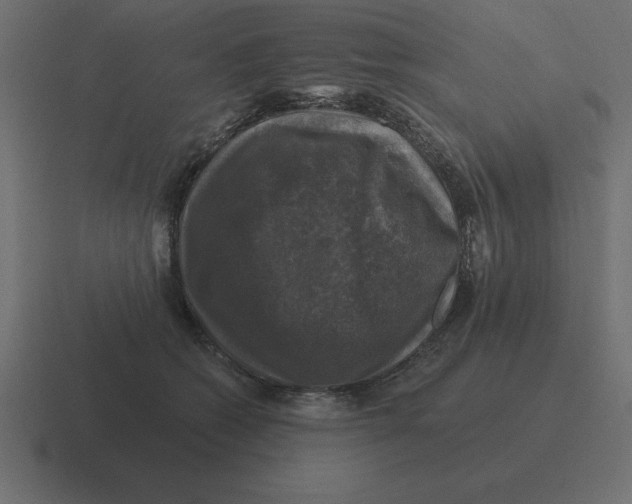 X0000116450562200912291949