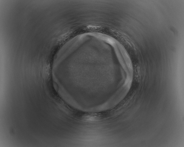 X0000116450563200912291949