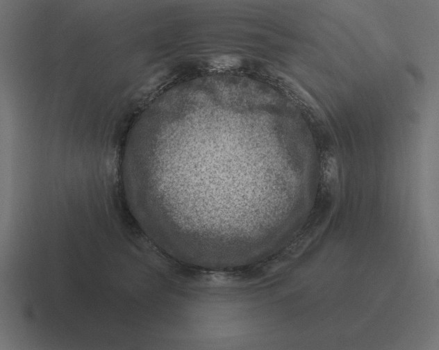 X0000116450565200912291949