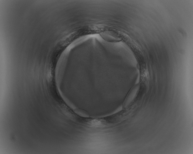 X0000116450566200912291949