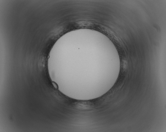X0000116450567200912291949