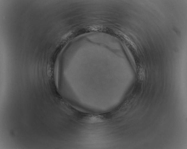 X0000116450569200912291949
