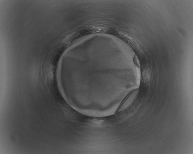 X0000116450570200912291950