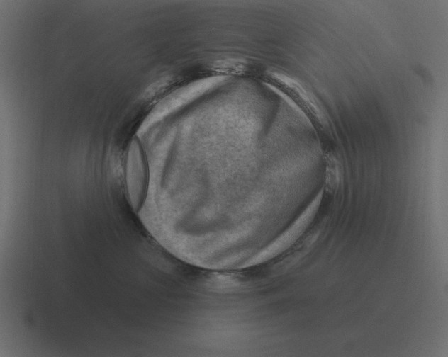 X0000116450573200912291950