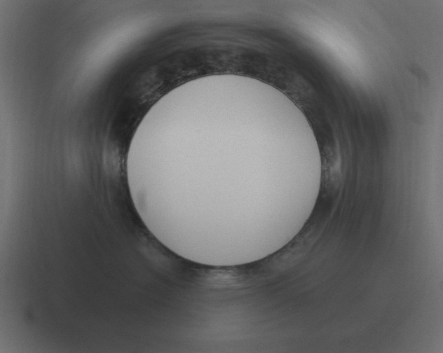 X0000116450574200912291950