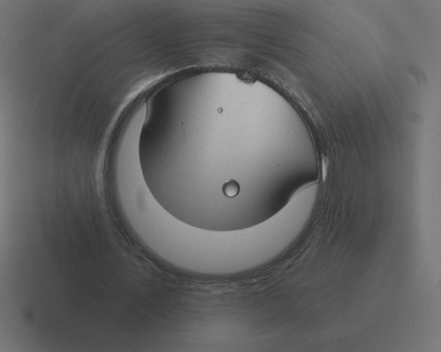 X0000116450579200912291949