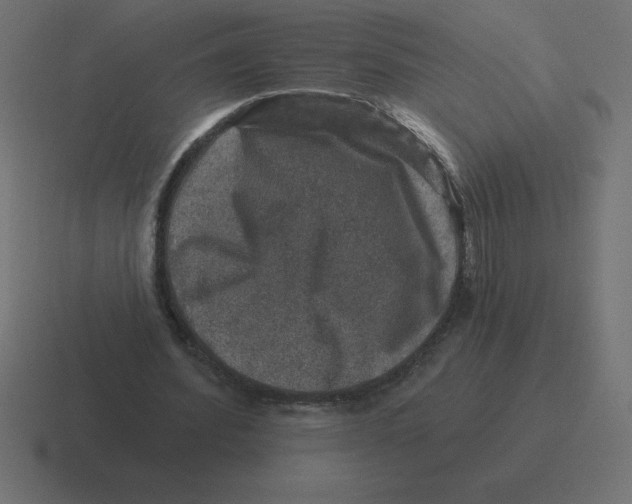 X0000116450580200912291949