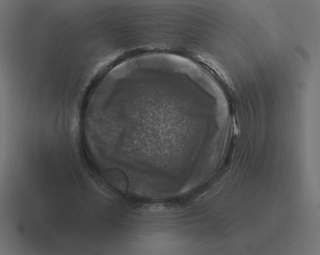 X0000116450588200912291949