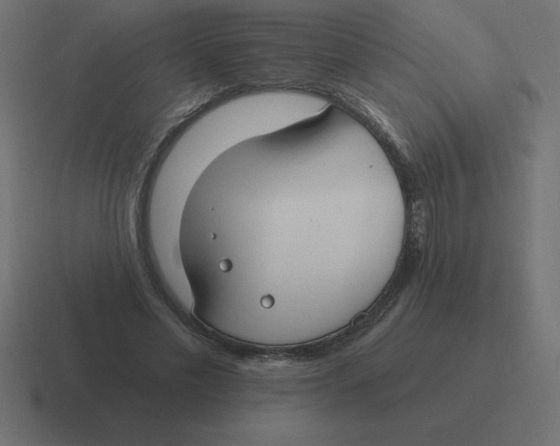 X0000116450589200912291949