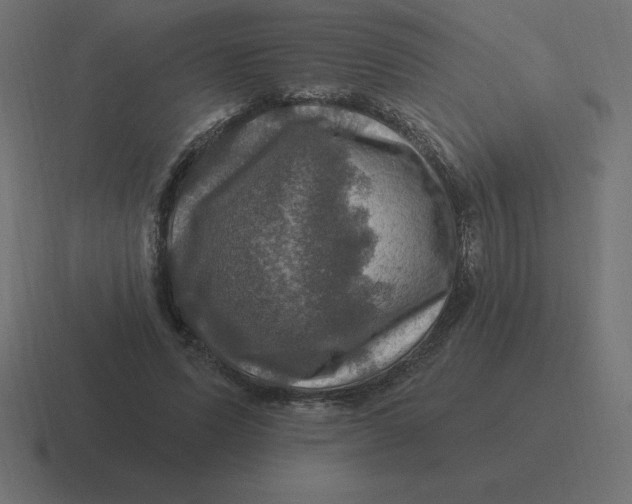 X0000116450591200912291949