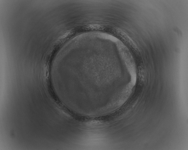 X0000116450593200912291949