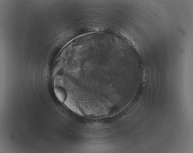 X0000116450594200912291949