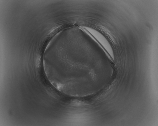 X0000116450596200912291949