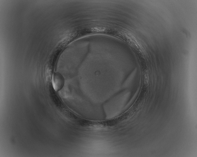 X0000116450598200912291949