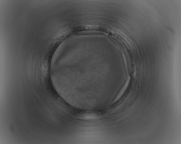 X0000116450604200912291949