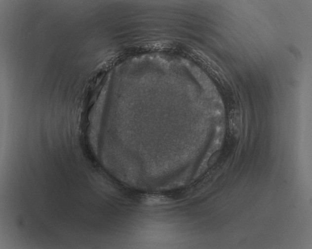X0000116450605200912291949
