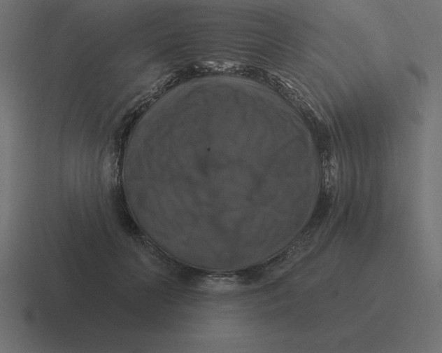 X0000116450606200912291949